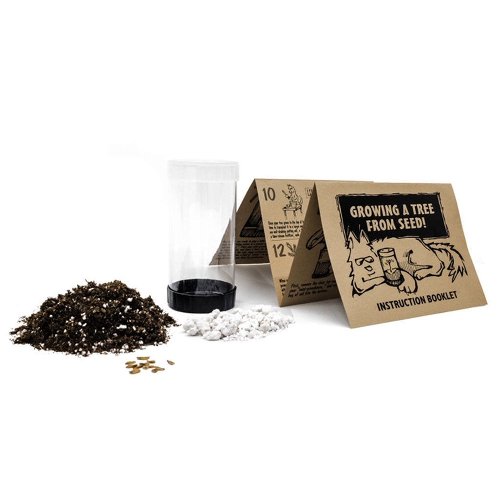 Grow Your Own Bonsai Tree Kit