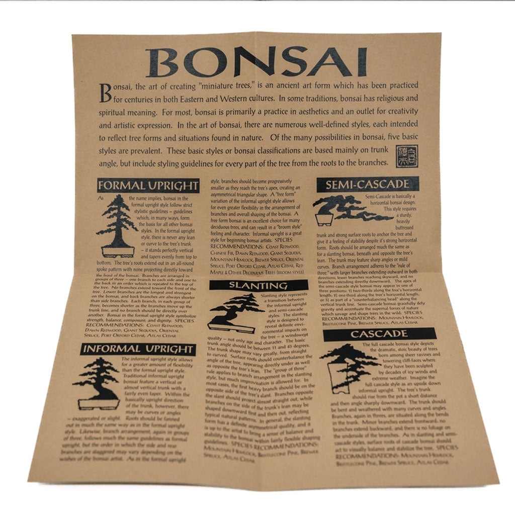 Grow Your Own Bonsai Tree Kit
