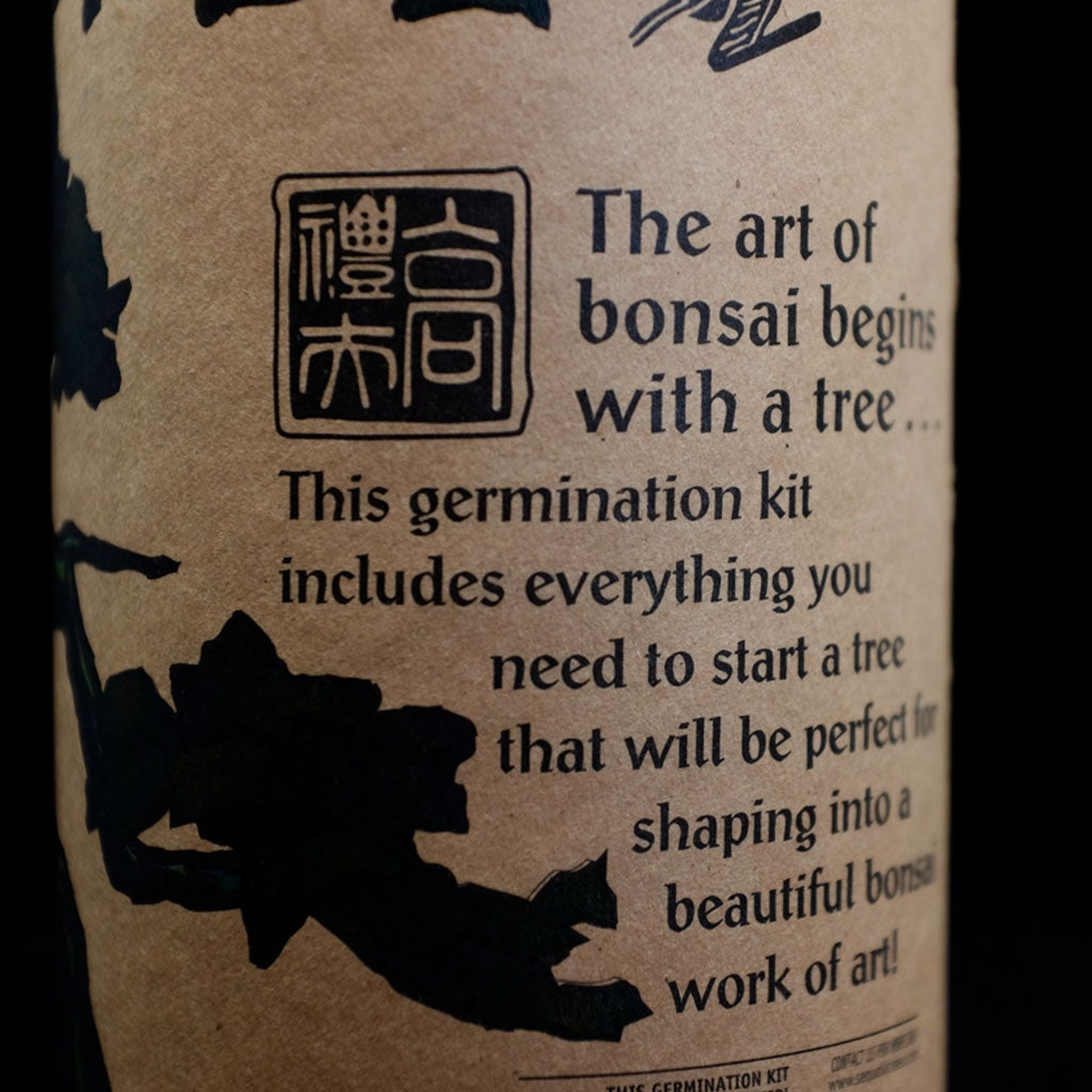 Grow Your Own Bonsai Tree Kit