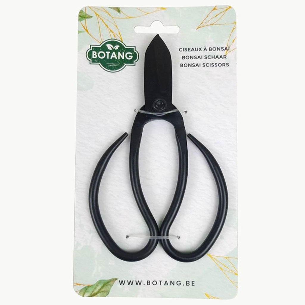 Black Bonsai Trimming Scissors