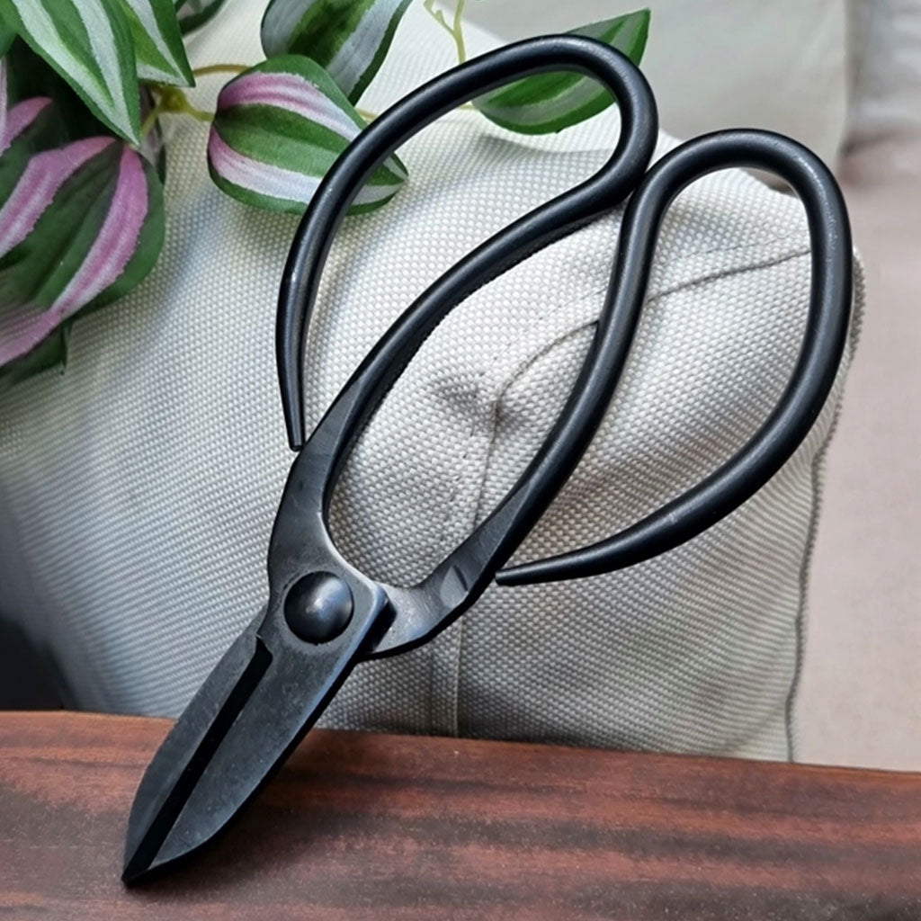Black Bonsai Trimming Scissors
