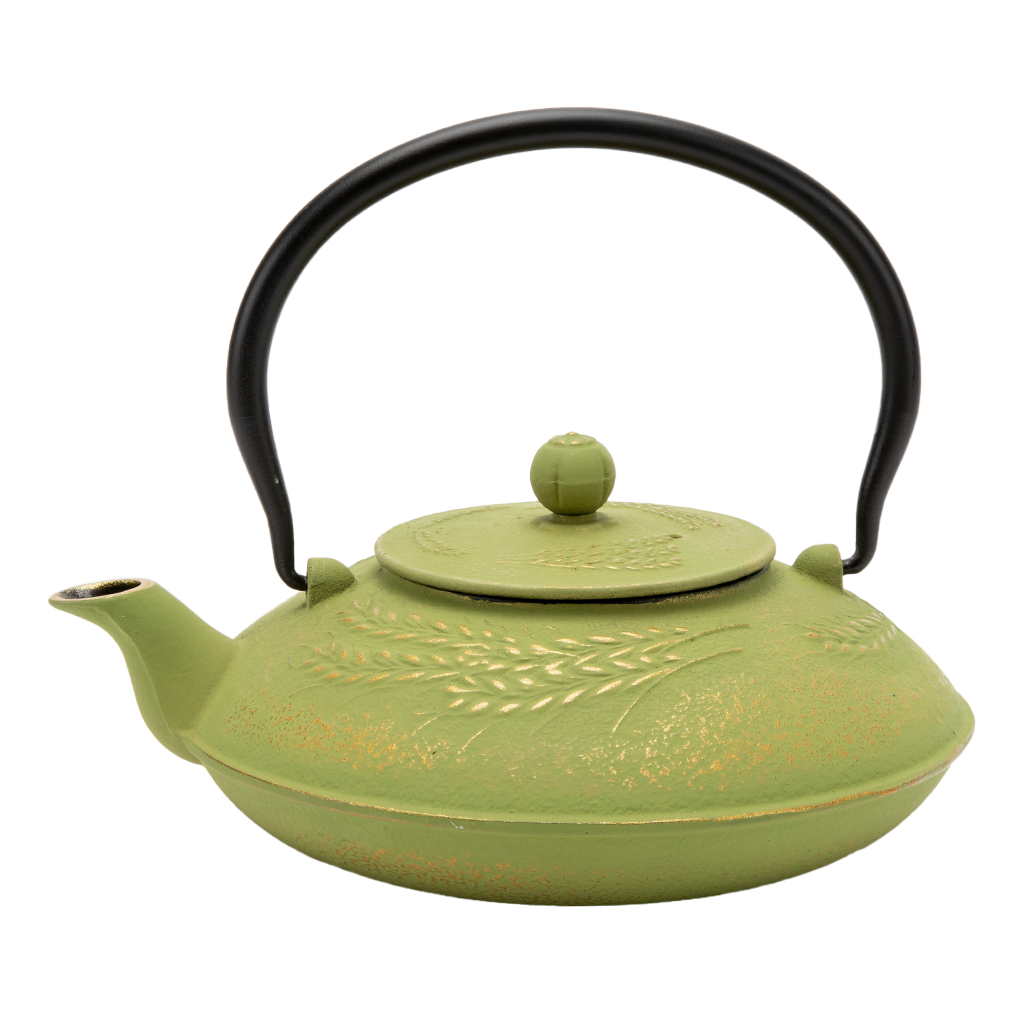 Green Cast Iron Teapot
