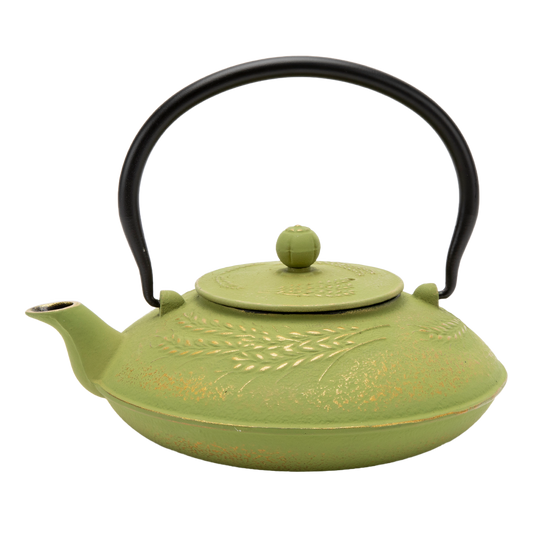 Green Cast Iron Teapot
