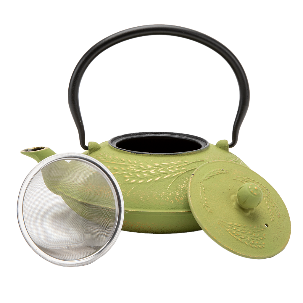 Green Cast Iron Teapot