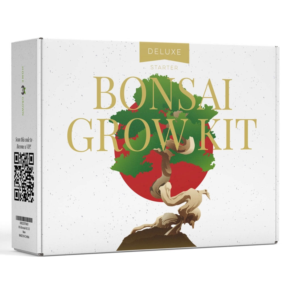 Bonsai Variety Grow Kit - Set of 4