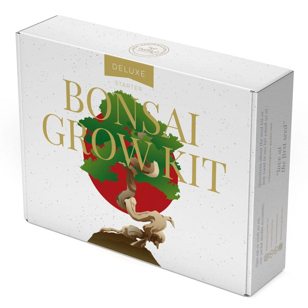 Bonsai Variety Grow Kit - Set of 4