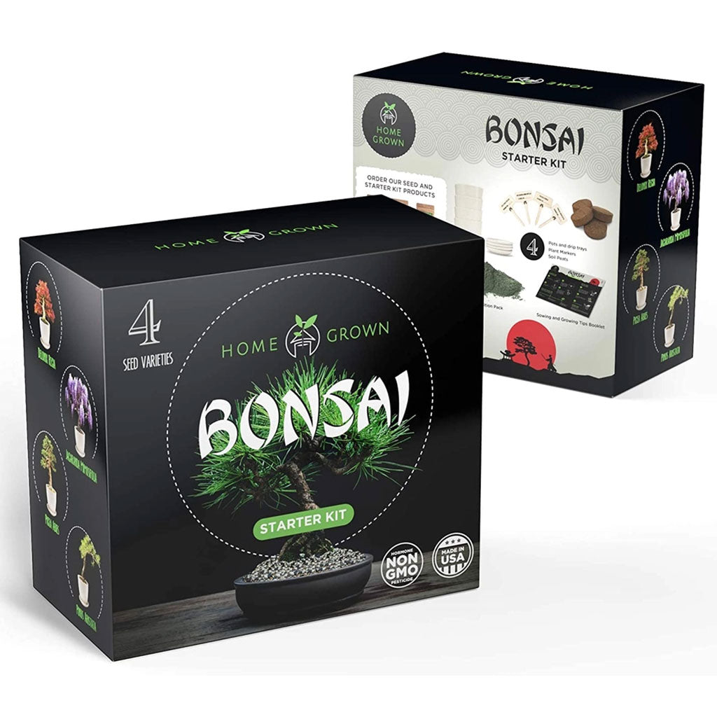 Mini Bonsai Starter Kit - Set of 4