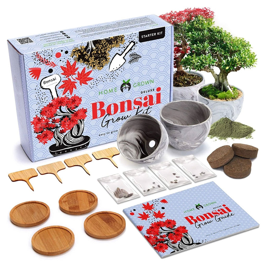 Deluxe Mini Bonsai Starter Kit - Set of 4