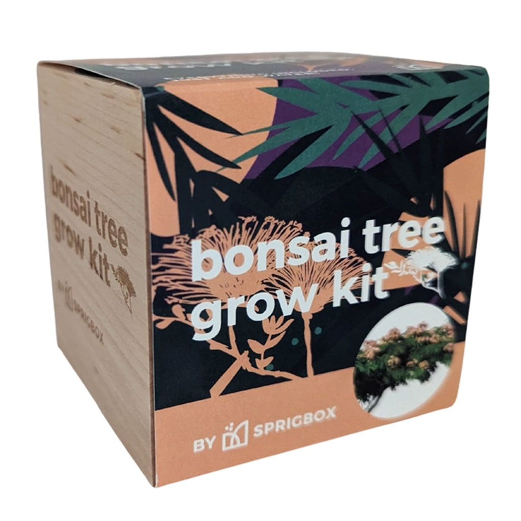 Easy Mini Bonsai Tree Seed Kit
