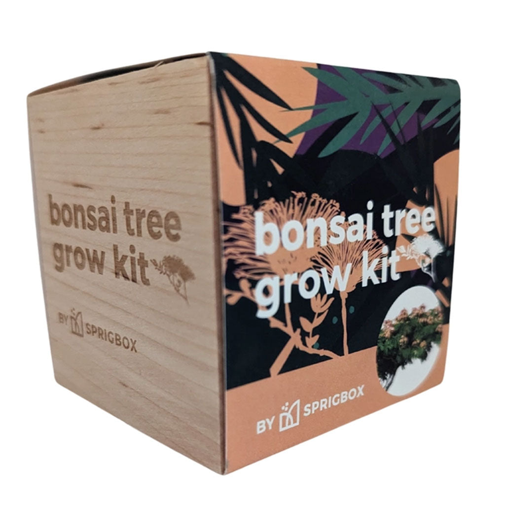Easy Mini Bonsai Tree Seed Kit