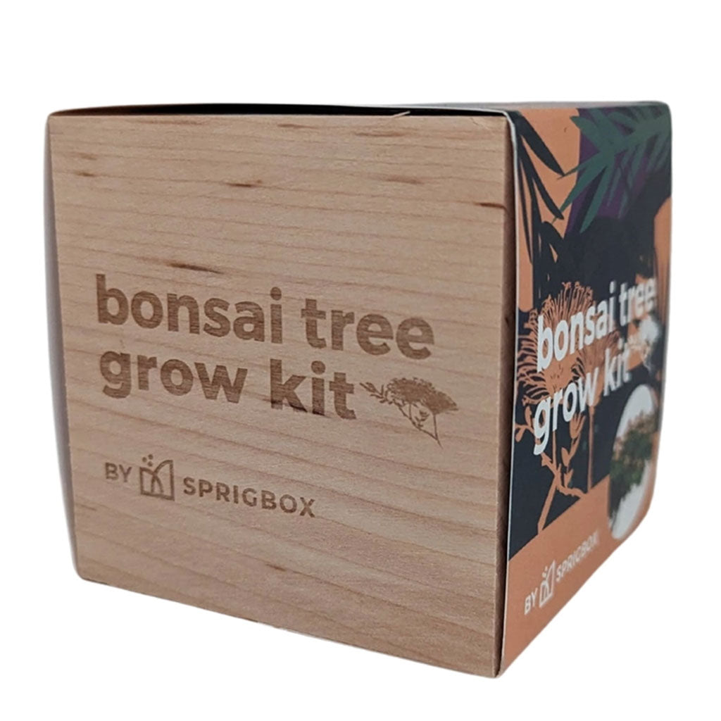Easy Mini Bonsai Tree Seed Kit