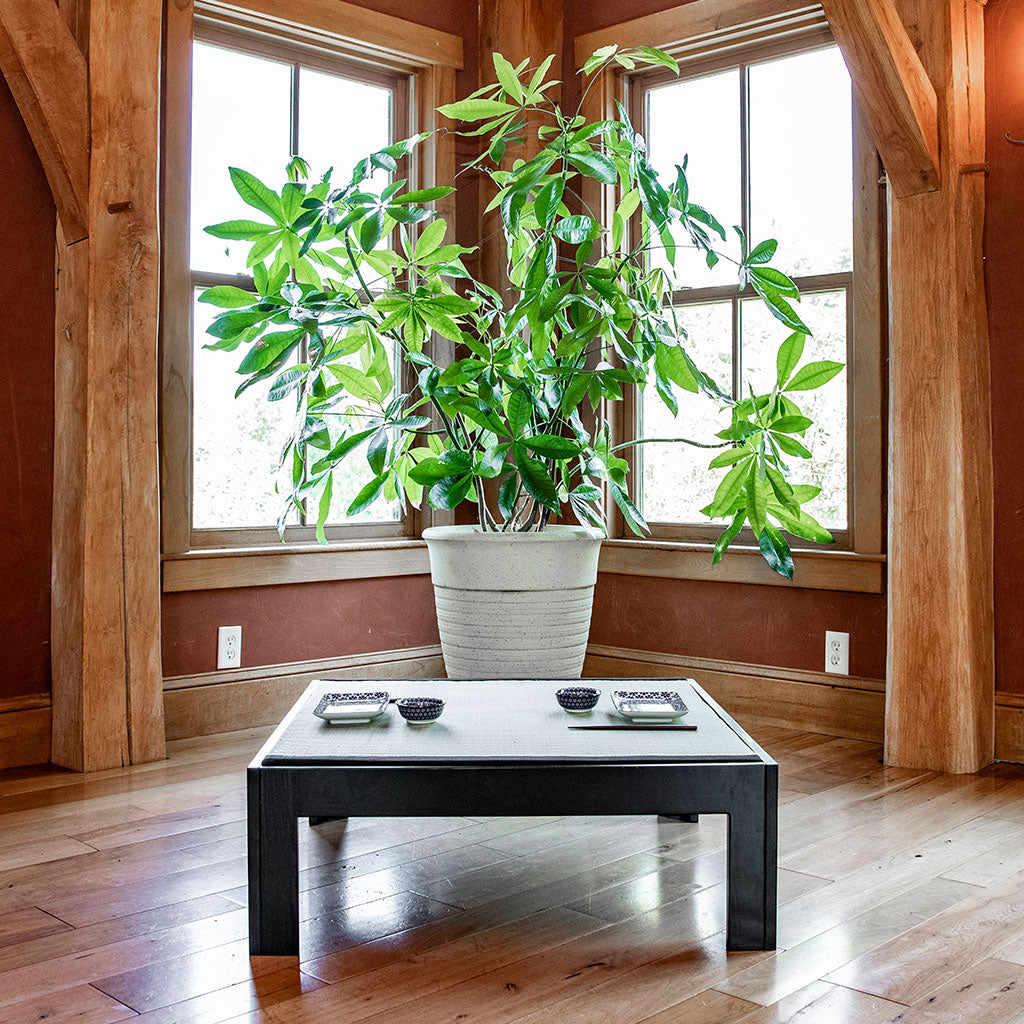 Tatami Table Tsukue 畳テーブル