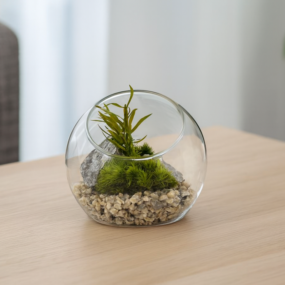 Glass terrarium with plants on a wooden surface