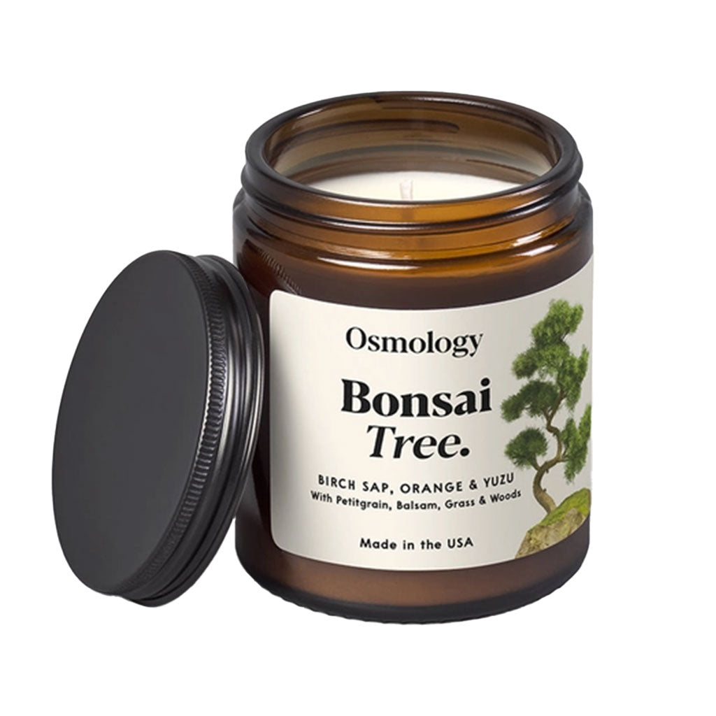 candle tree bonsai Bonsai Tree Scented Candle