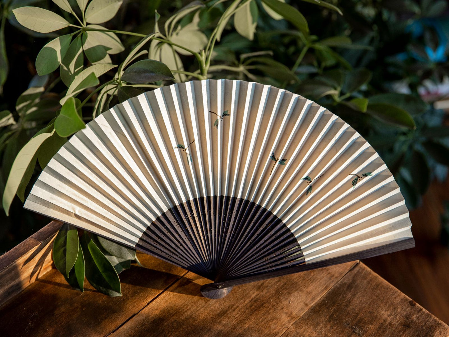 Traditional Japanese Sensu Hand Fan - Dragonfly