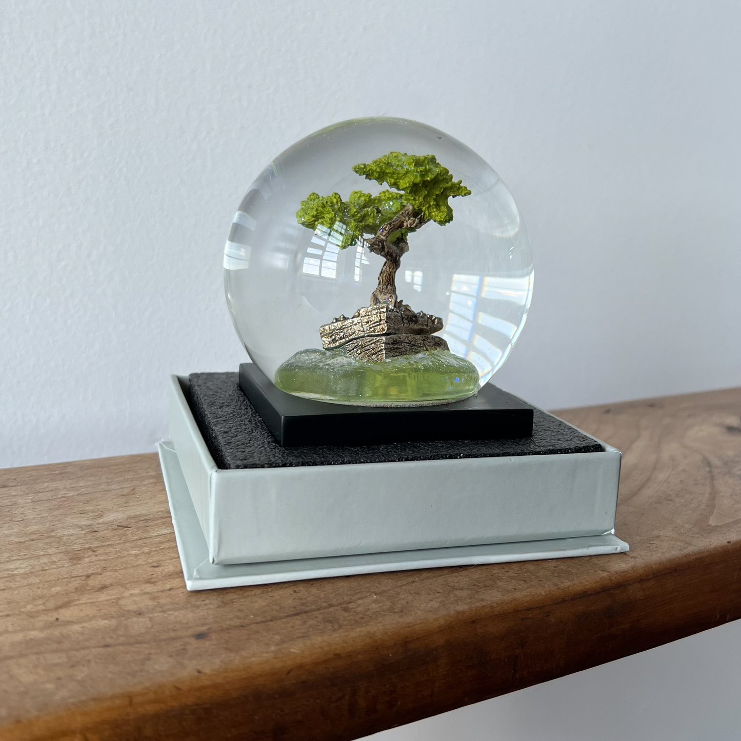 Bonsai tree snow globe on wooden ledge in bottom half of box