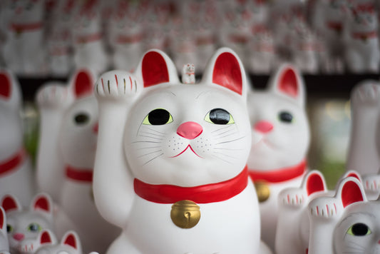 Maneki Neko Guide: The Meaning Behind Lucky Cats’ Colors & Placement for Good Fortune