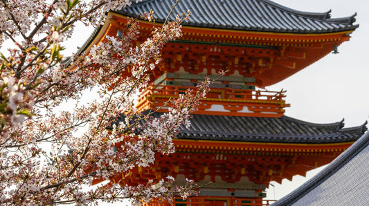 Spring Equinox (Shunbun no Hi)