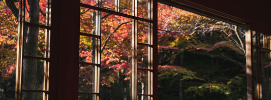 Fall Lookbook: Japanese Futons & Bedding Bundles for Autumn