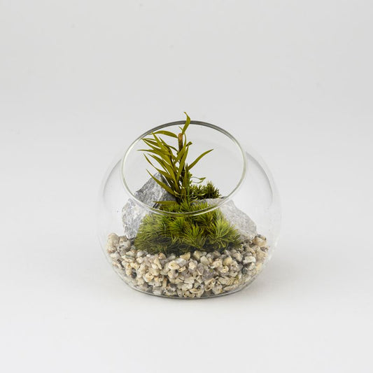 Glass terrarium with plants and pebbles on a white background