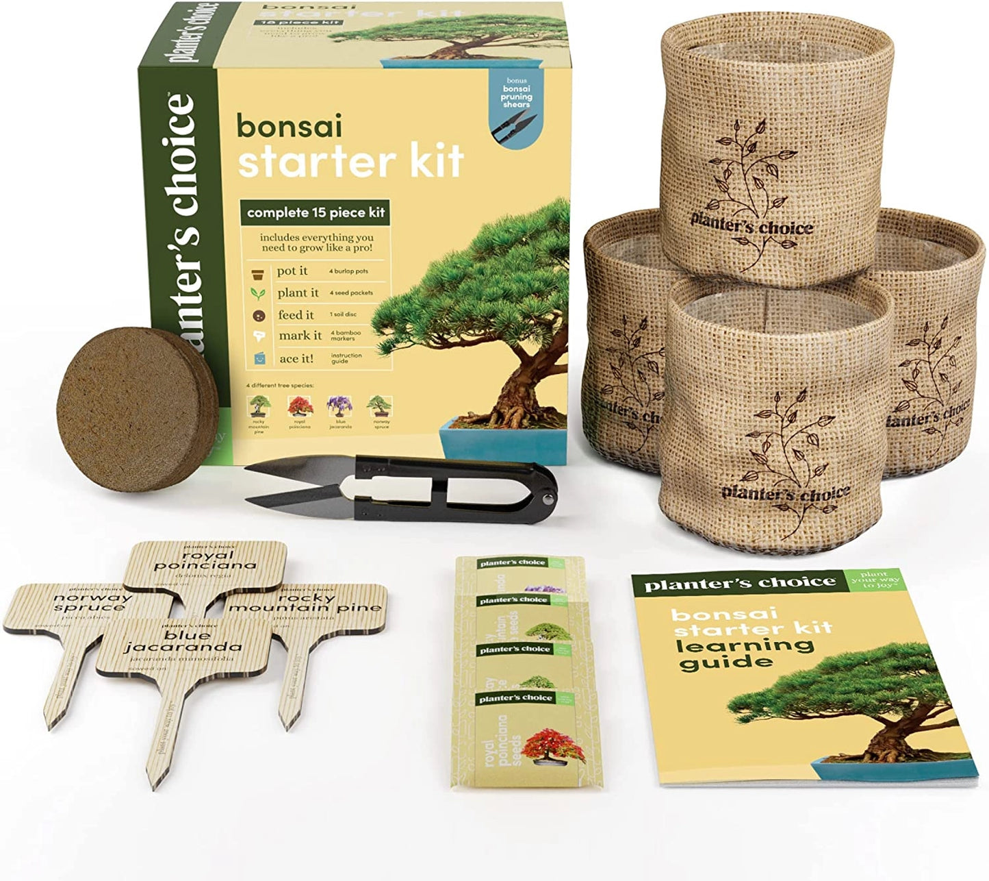 Complete Mini Bonsai Starter Kit - Set of 4