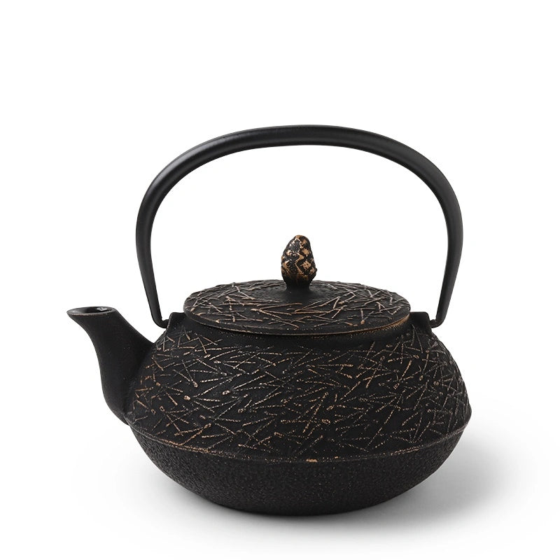 Black cast iron teapot with decorative lid on a white background
