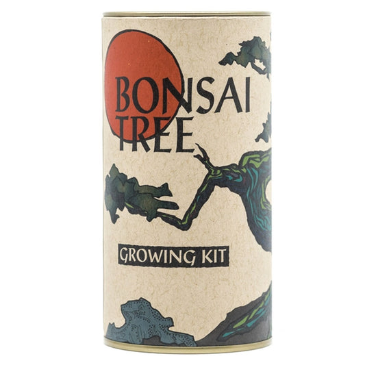 Grow Your Own Bonsai Tree Kit