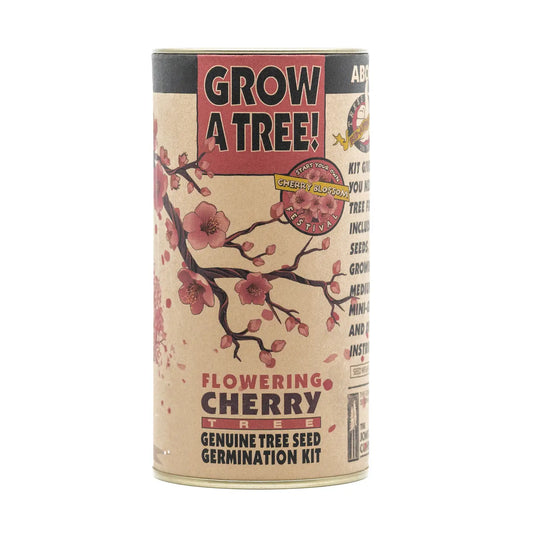 Grow a Tree! Flowering Cherry Tree seed germination kit packaging on a white background