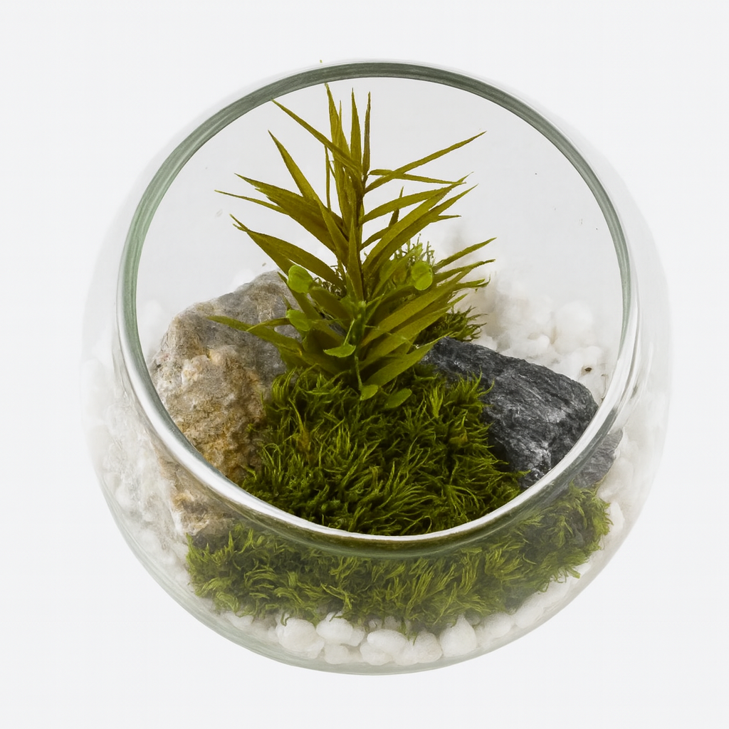 Terrarium with plants and stones on a white background