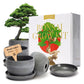 Bonsai Variety Grow Kit - Set of 4