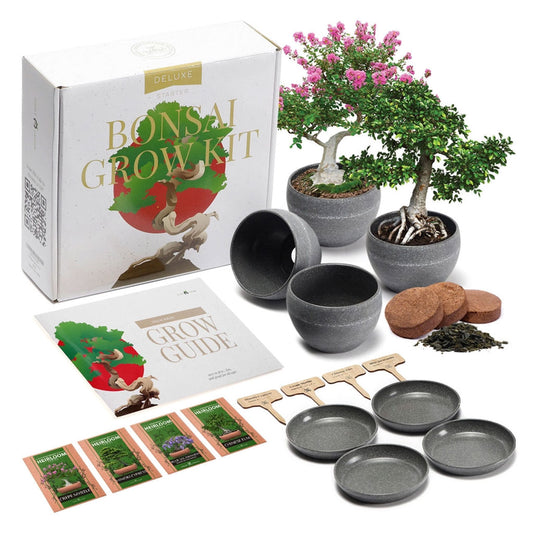 Bonsai Variety Grow Kit - Set of 4