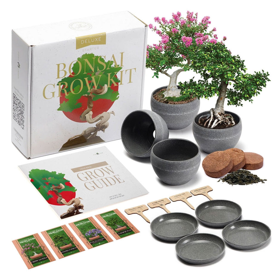 Bonsai Tree Growing Kits & More | J-Life – J-Life International