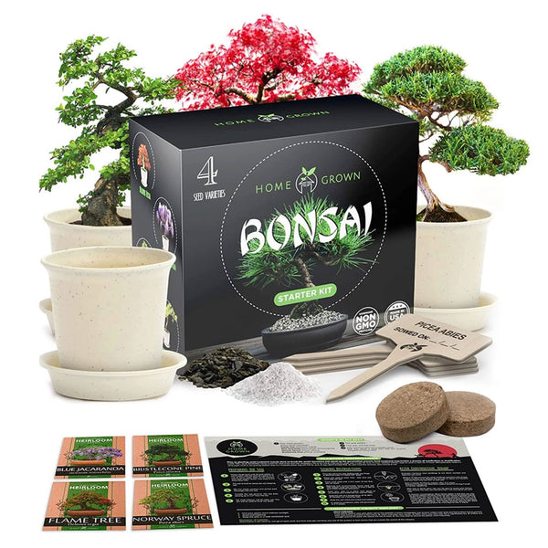 Mini Bonsai Starter Kit - Set of 4 Species | J-Life – J-Life