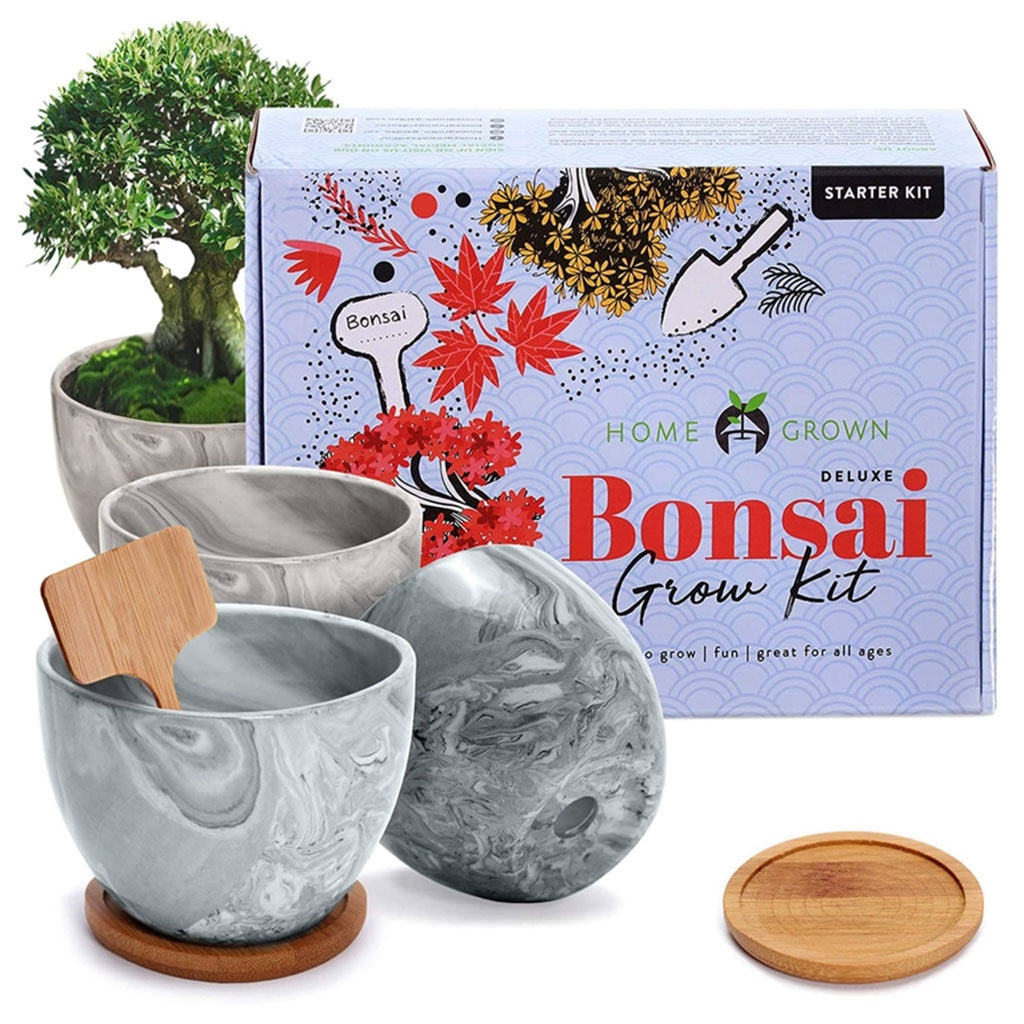 Deluxe Mini Bonsai Starter Kit - Set of 4
