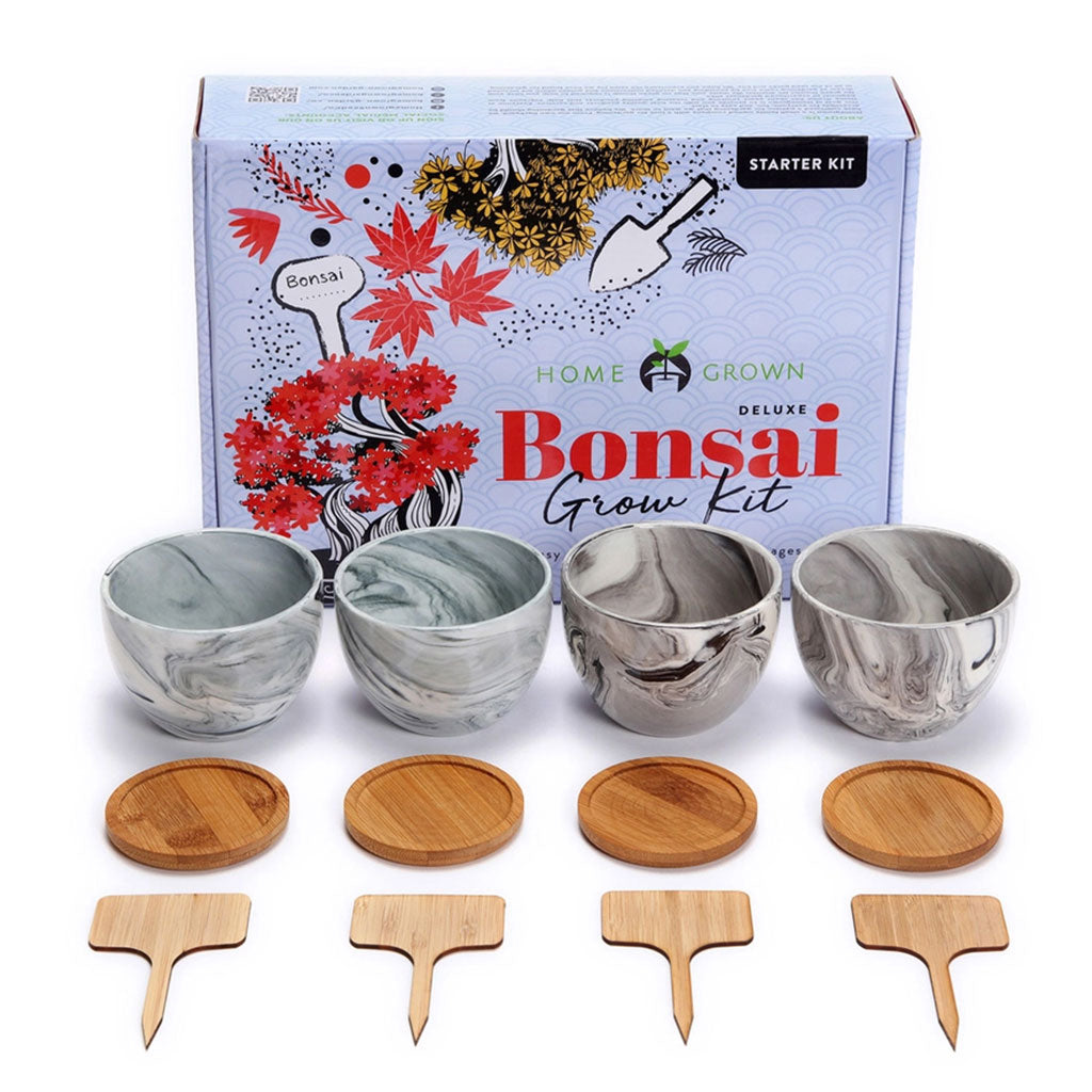 Deluxe Mini Bonsai Starter Kit - Set of 4