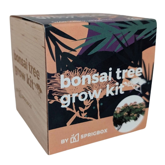 Easy Mini Bonsai Tree Seed Kit