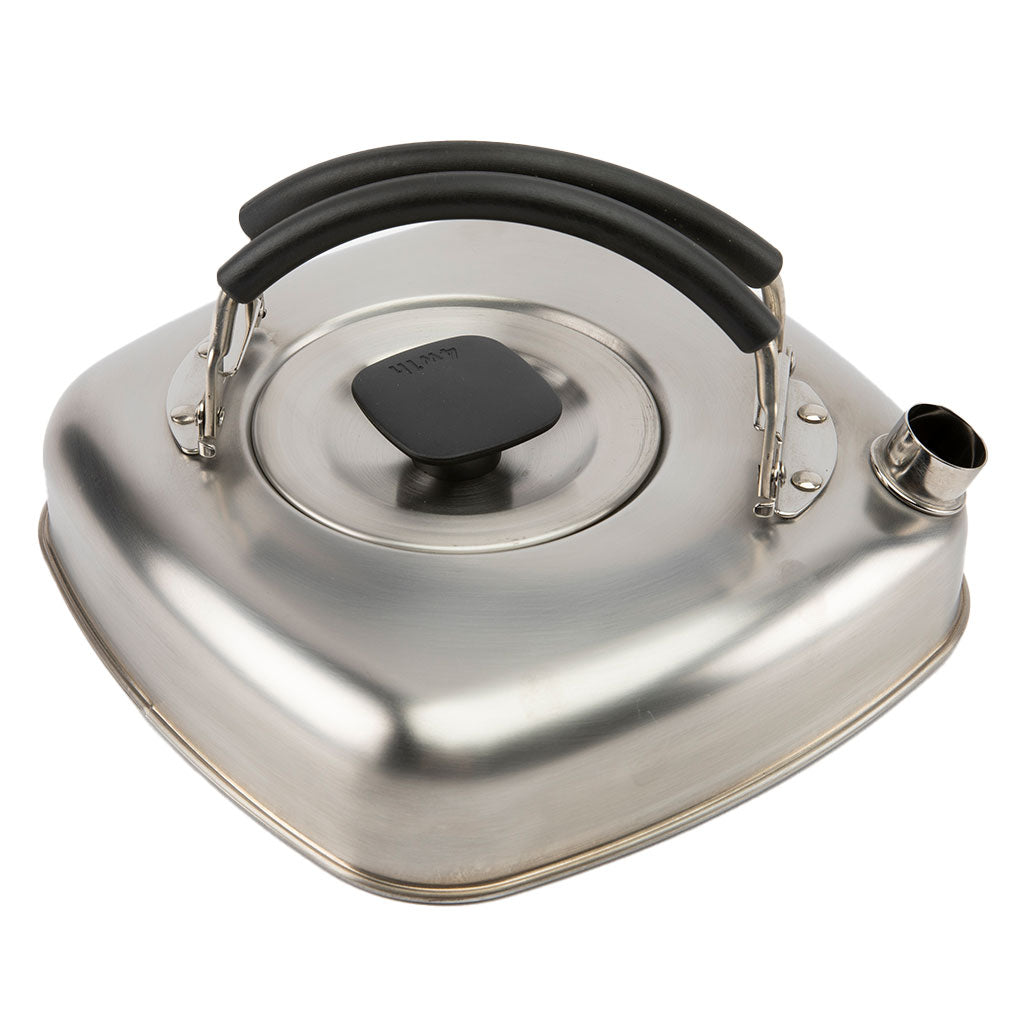 Stainless steel teapot with black handle on a white background