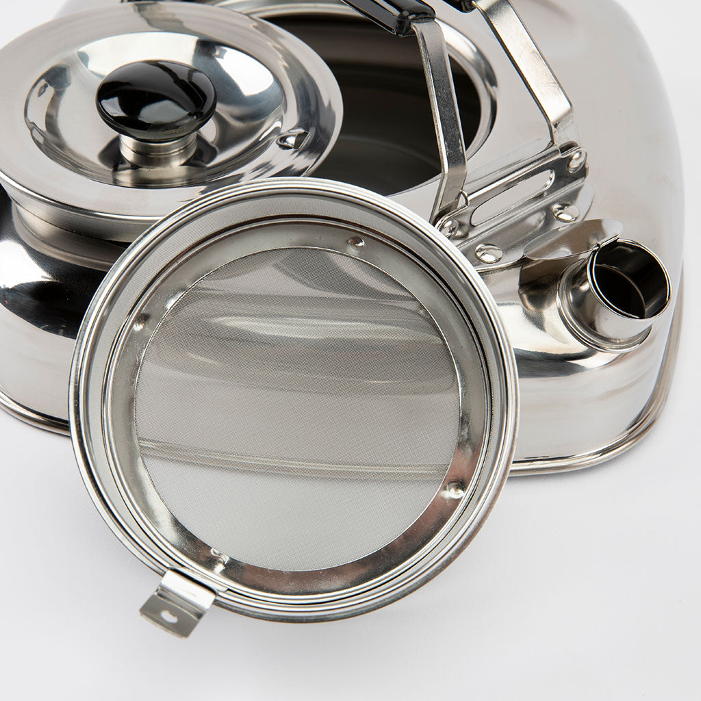 Close-up of a metallic teapot with a tea stainer on a white background