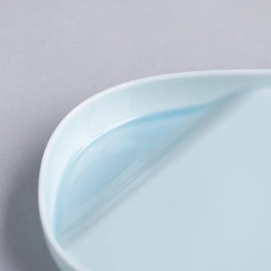 Japanese Dinner Plate