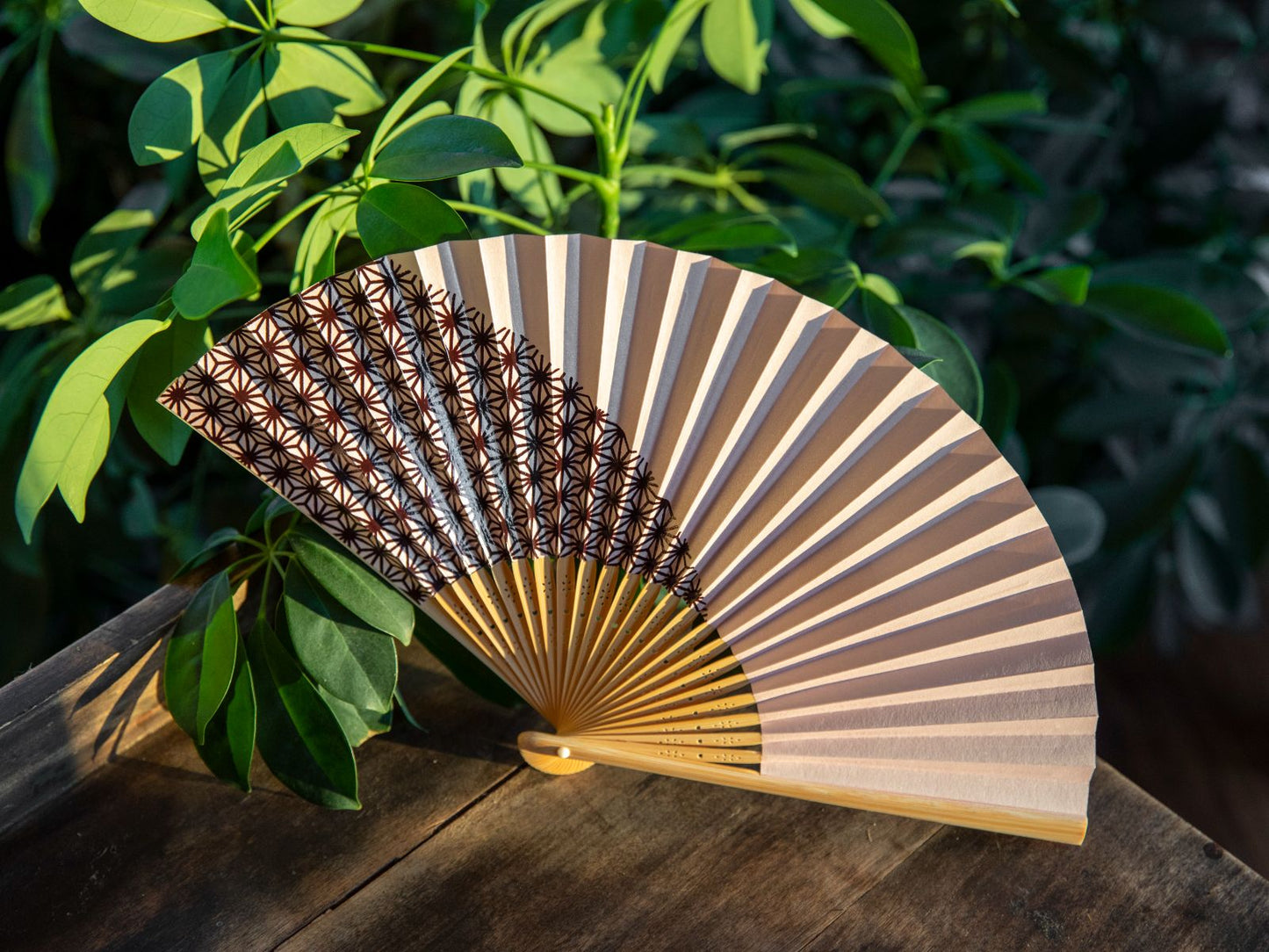 Traditional Japanese Sensu Hand Fan - Asanoha