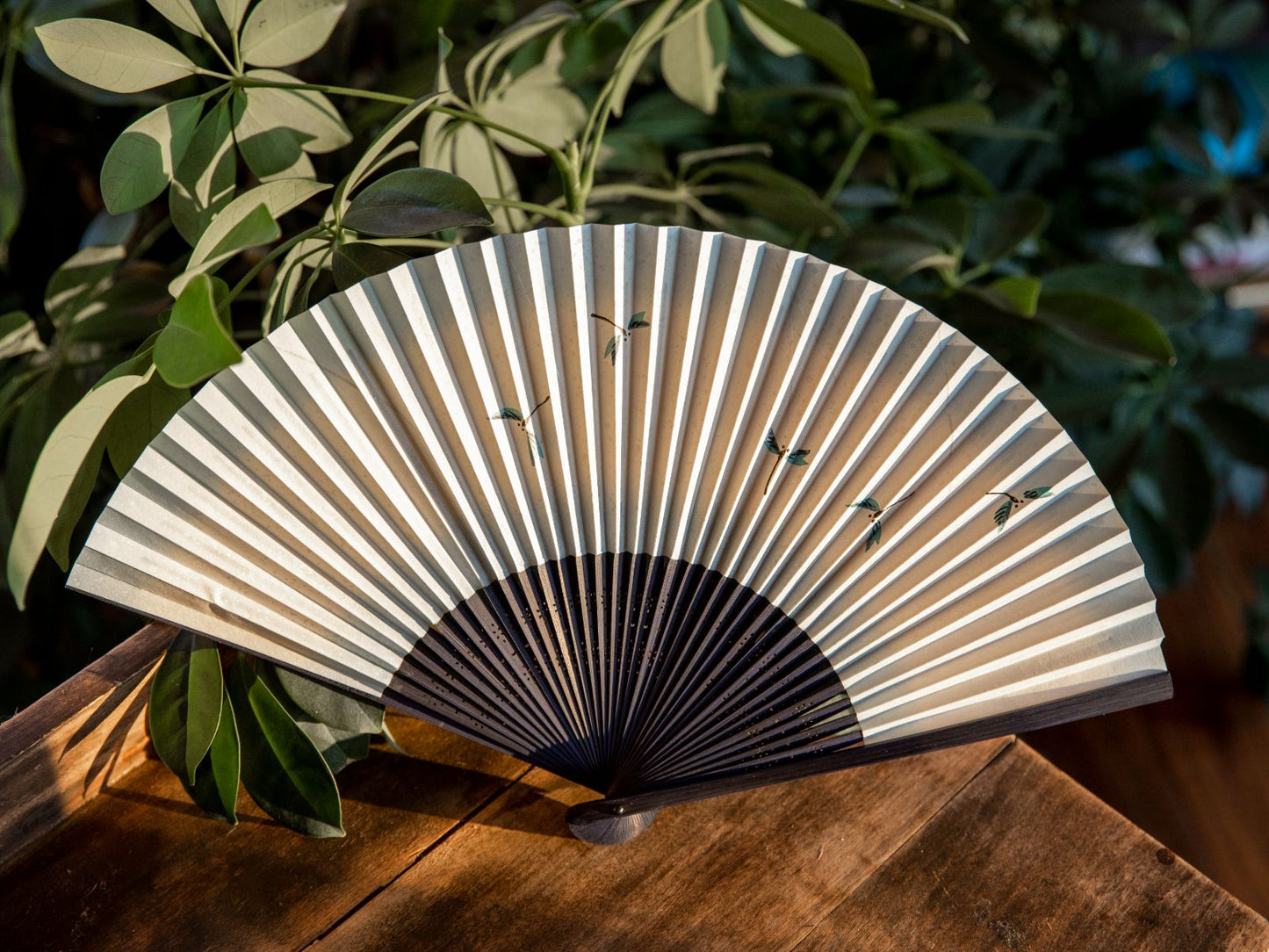 Traditional Japanese Sensu Hand Fan - Dragonfly