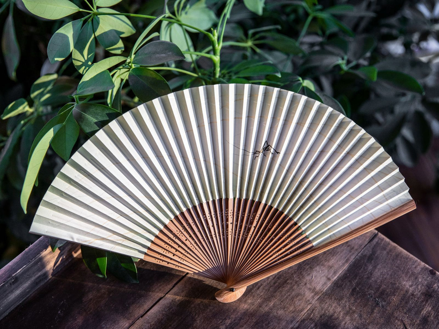 Traditional Japanese Sensu Hand Fan - Grasshopper