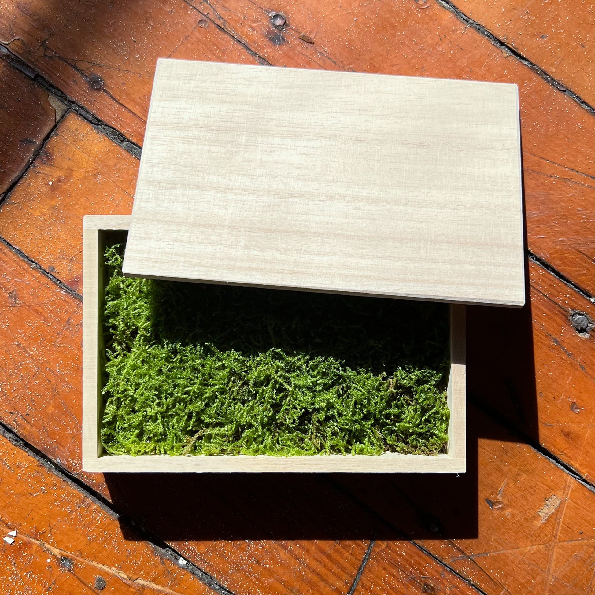 Miniature Zen Garden Moss